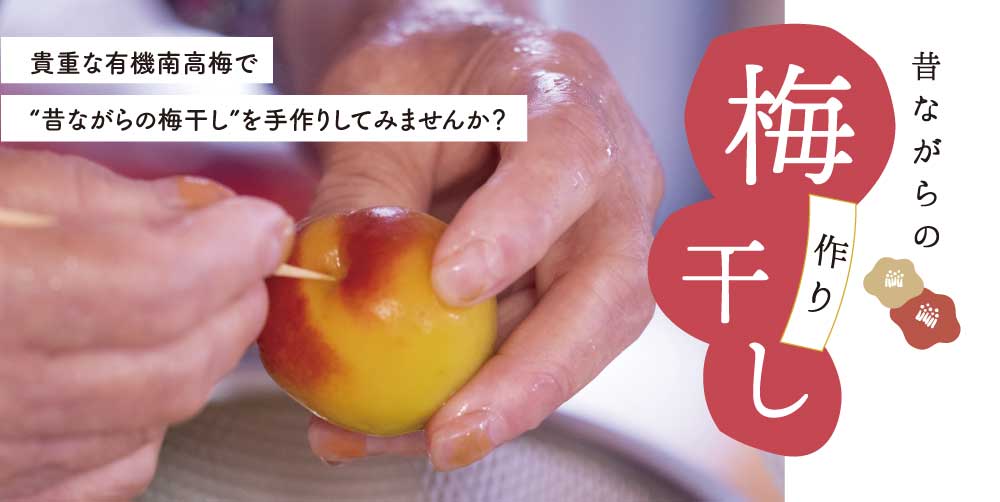 ワークショップ