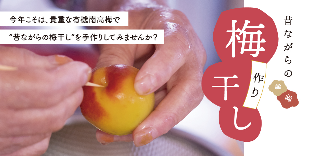 ワークショップ
