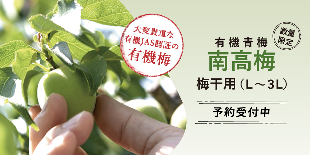 予約販売