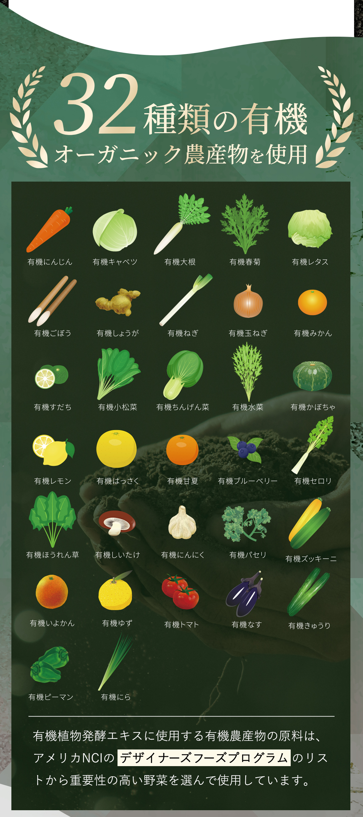 32種類の有機オーガニック農産物を使用：有機植物発酵エキスに使用する有機農産物の原料は、アメリカNCIのデザイナーズフーズプログラムのリストから重要性の高い野菜を選んで使用しています。