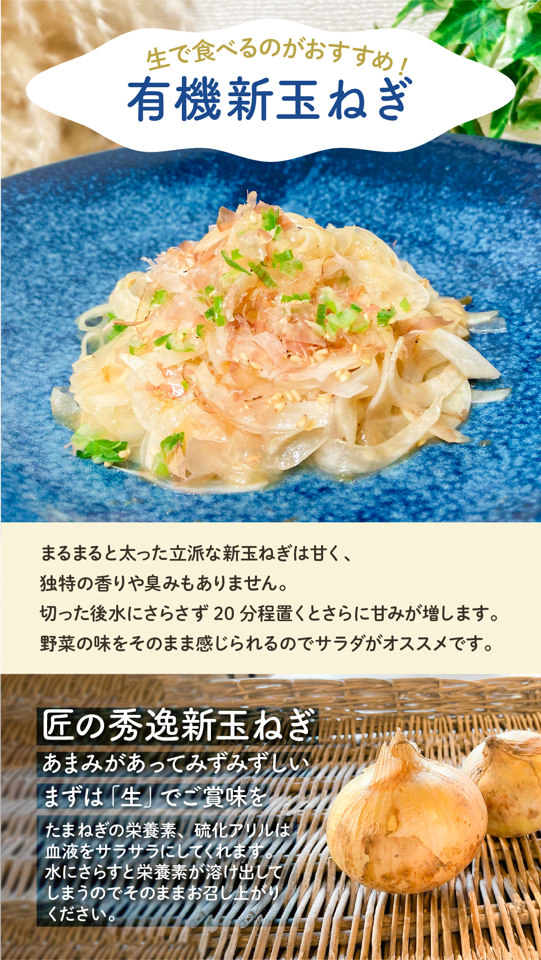 有機新たまねぎ