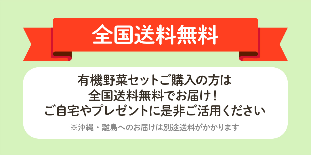 野菜セットは送料無料でお届け
