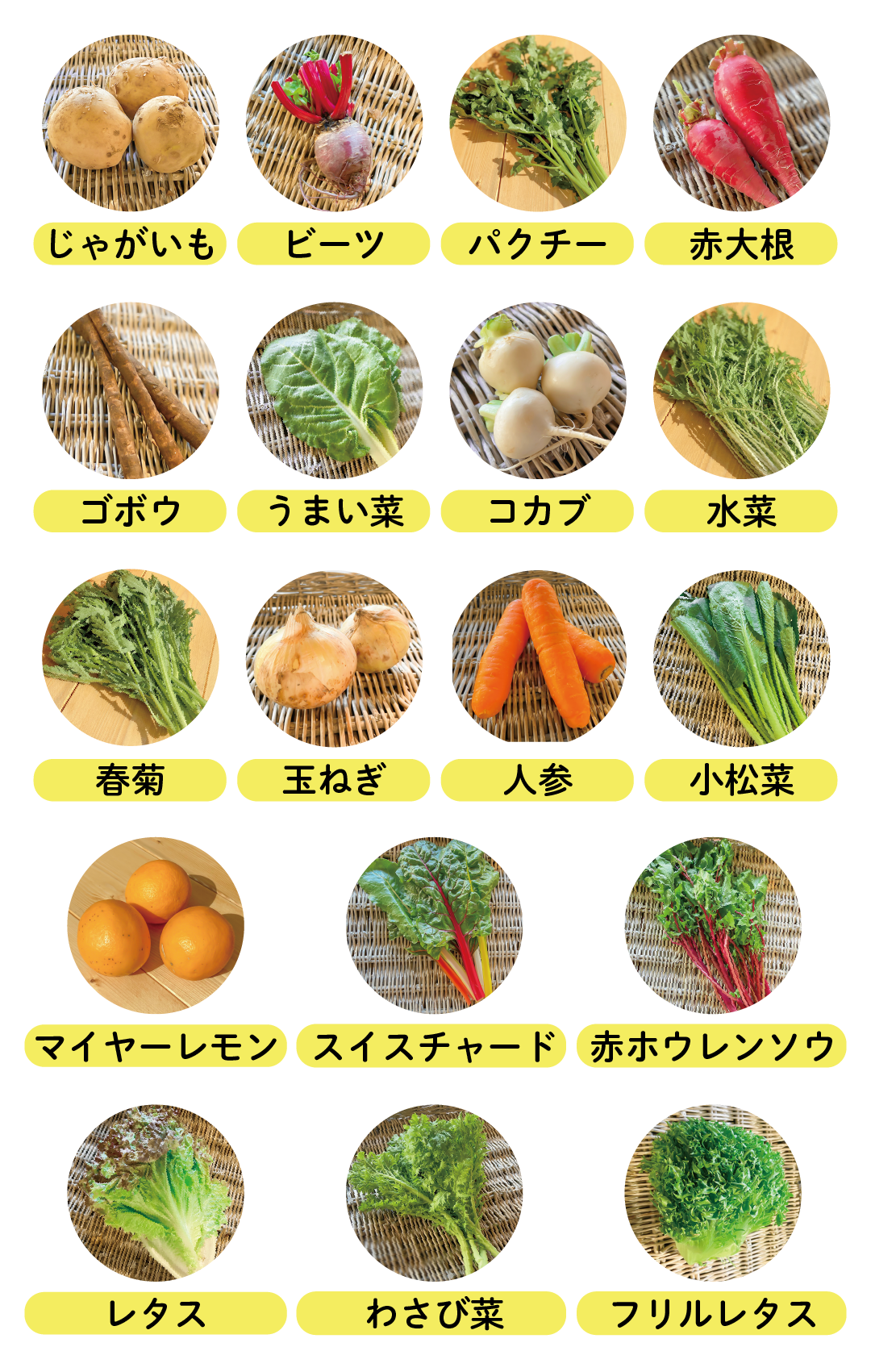 野菜の種類